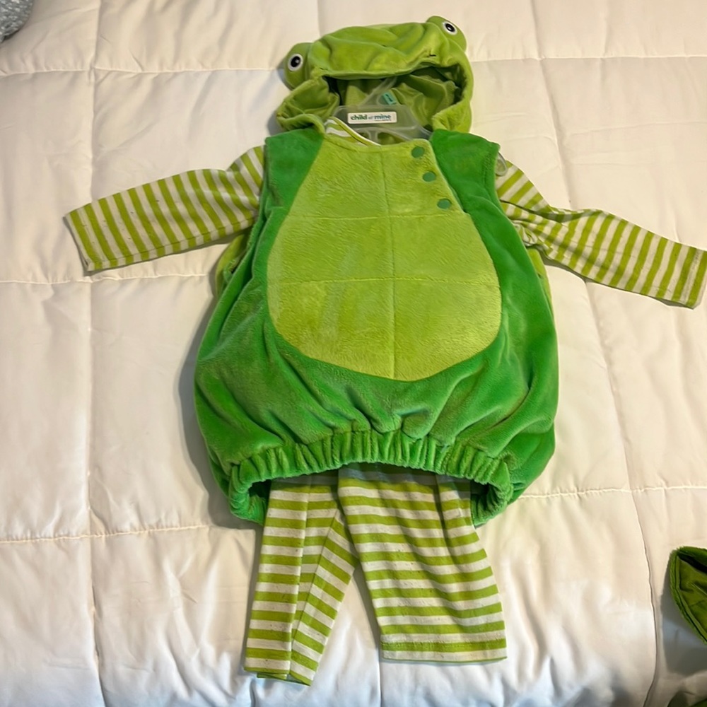 Turtle costume